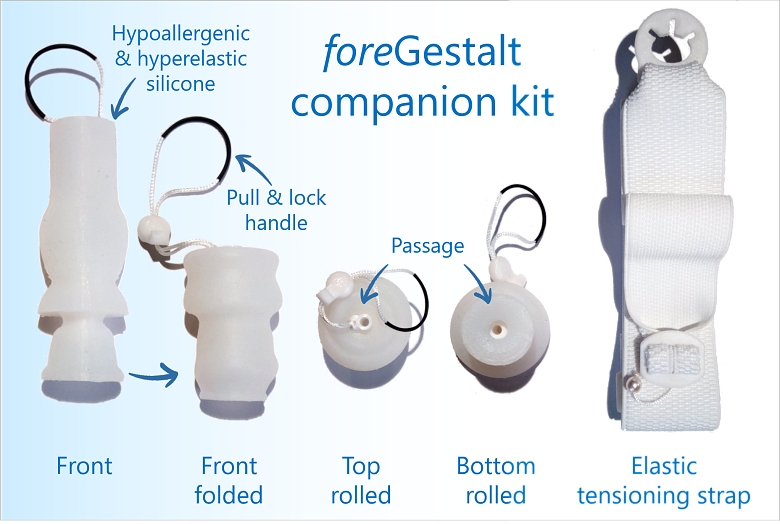 foreGestalt companion kit